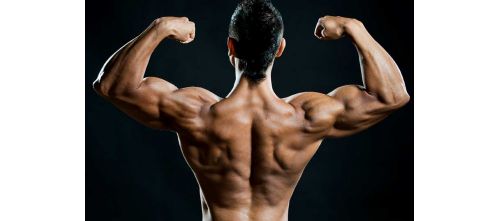 Real steroids for sale USA - buy with credit card!